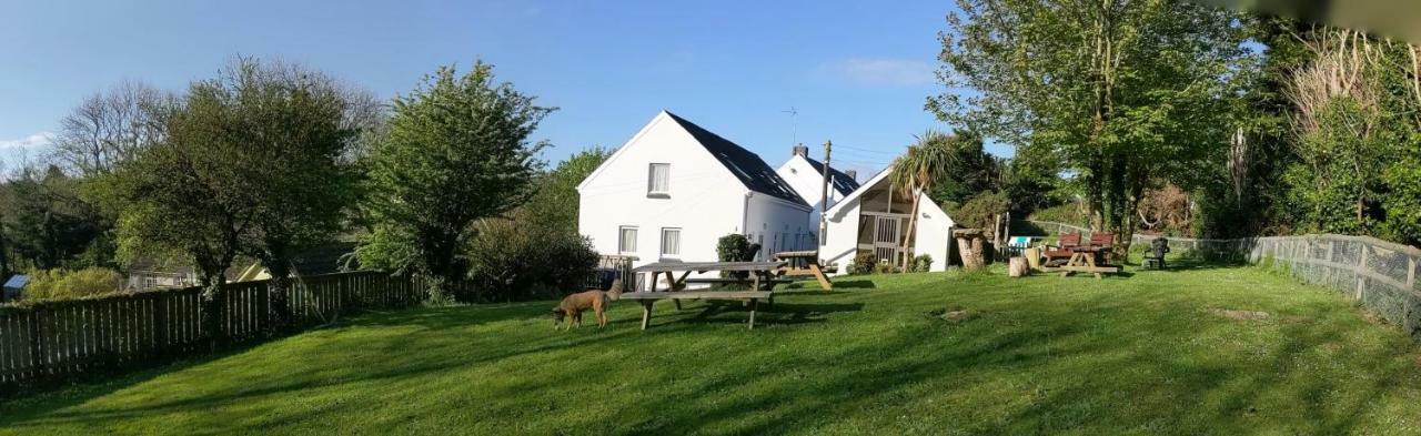 Ivybridge Guesthouse フィッシュガード エクステリア 写真
